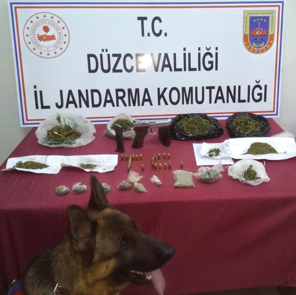 Düzce\'de Uyuşturucu Operasyonu