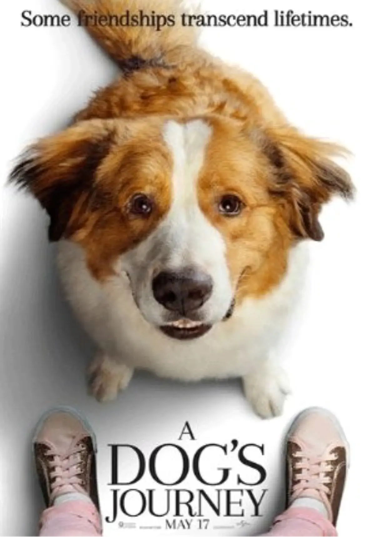 A Dog\'s Journey Filmi