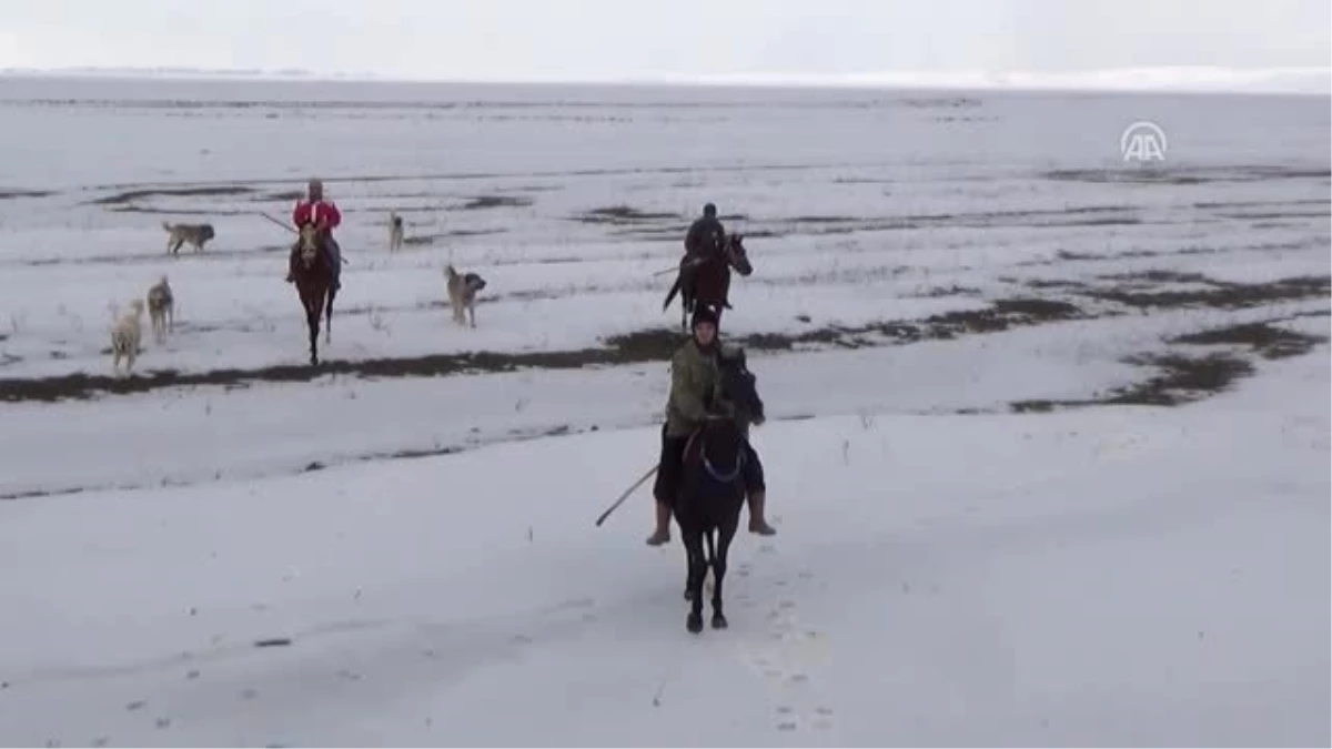 Atları Yarışlara Karda Hazırlıyorlar