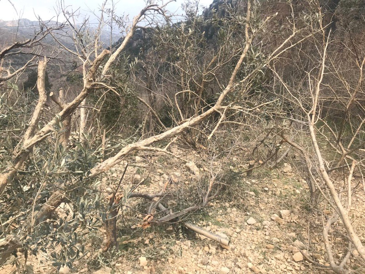 Bu Tarlalardan Ürün Değil Taş Çıkıyor