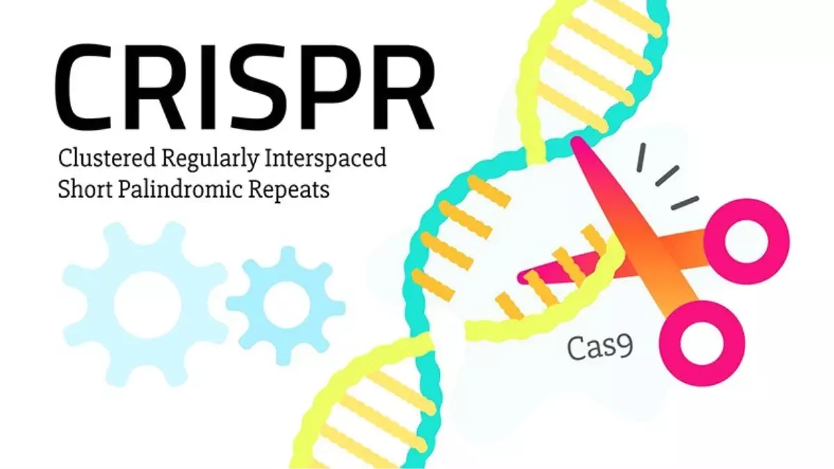 Dna\'yı Yeniden Düzenleme Olanağı Sunan Crispr Teknolojisiyle İlk Hastalık Tedavisi Gerçekleştirildi