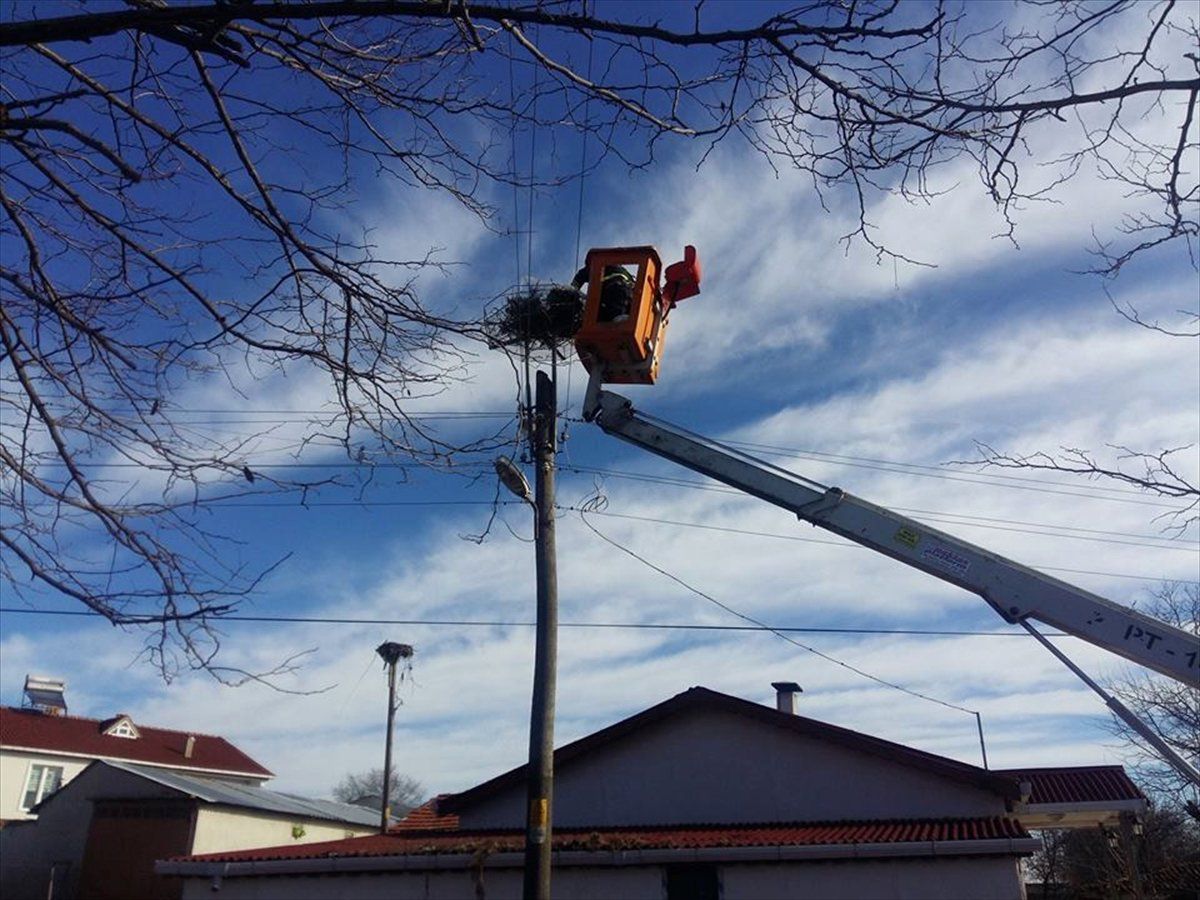 Elektrik Direklerindeki Leylek Yuvaları Yenilendi