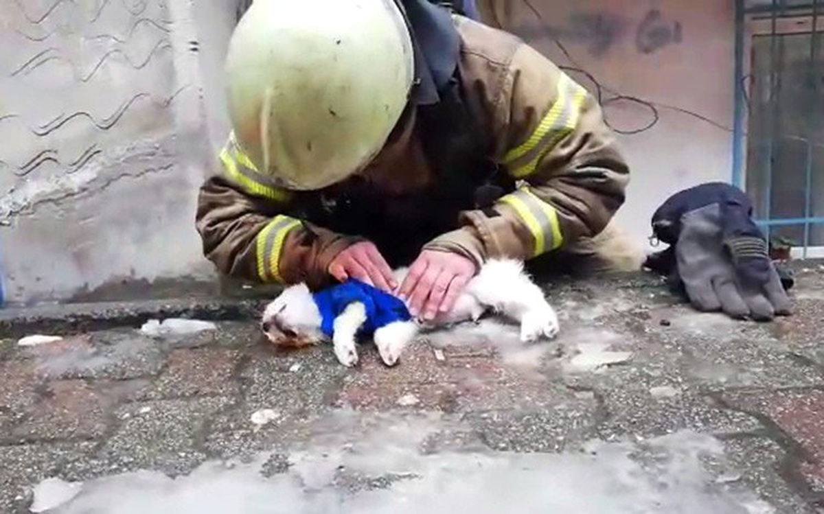 İtfaiyeciden Köpeğe Kalp Masajı ve Suni Teneffüs