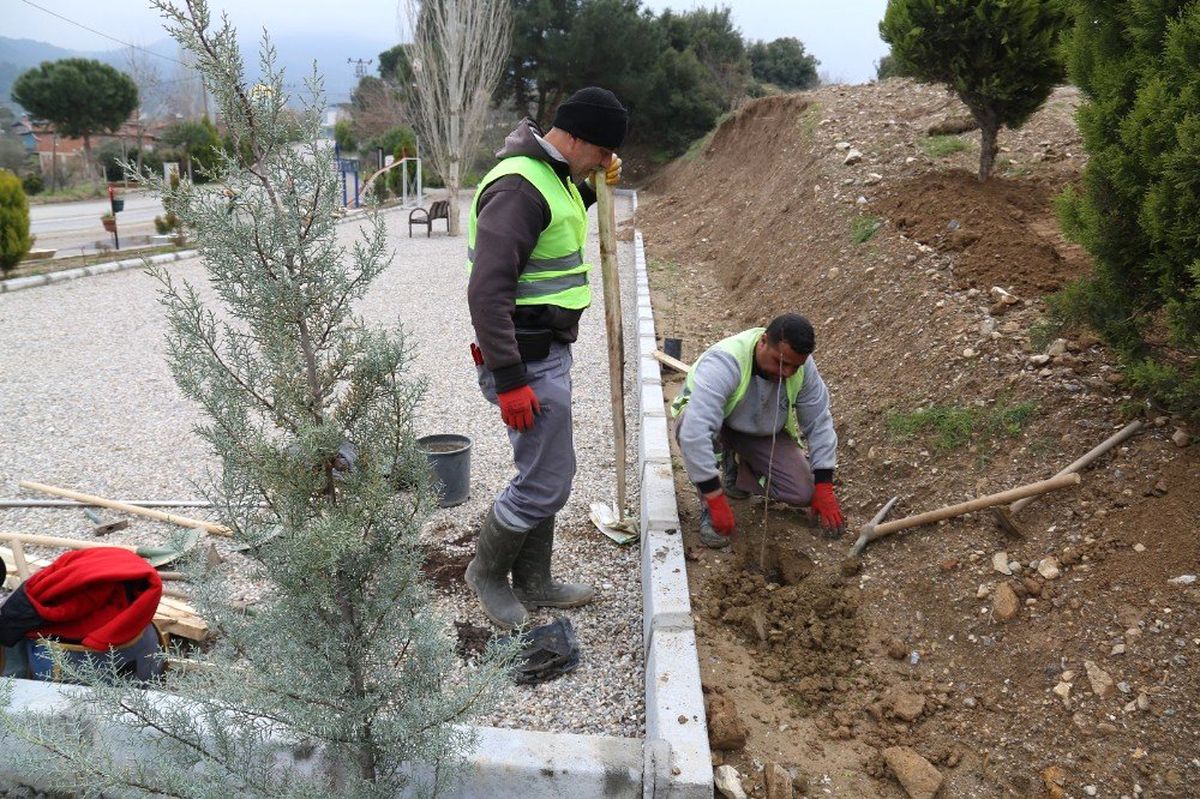 Turgutlu Belediyesinden Yeşillendirme Çalışması