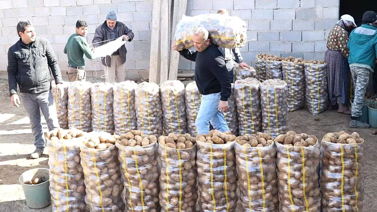 Tanzim Satışlar: Esnaf Nasıl Etkilendi, Vatandaş Ne Diyor?