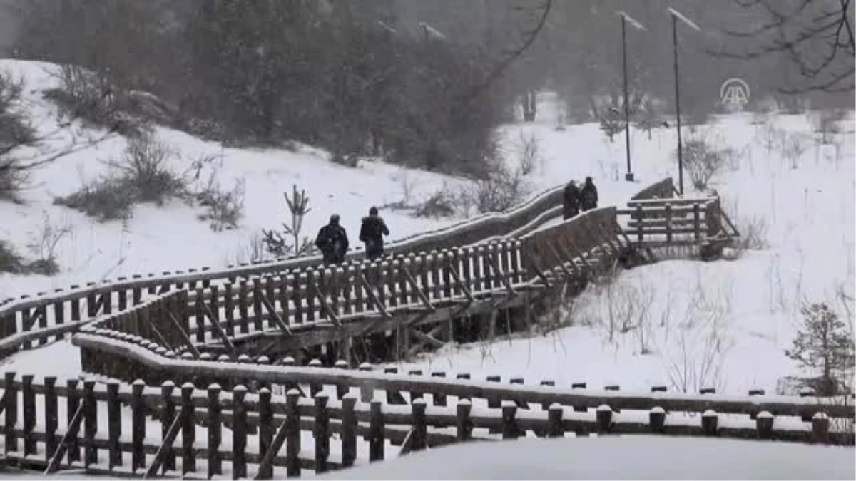 Bolu Dağı\'nda Kar Yağışı Etkisini Arttırdı