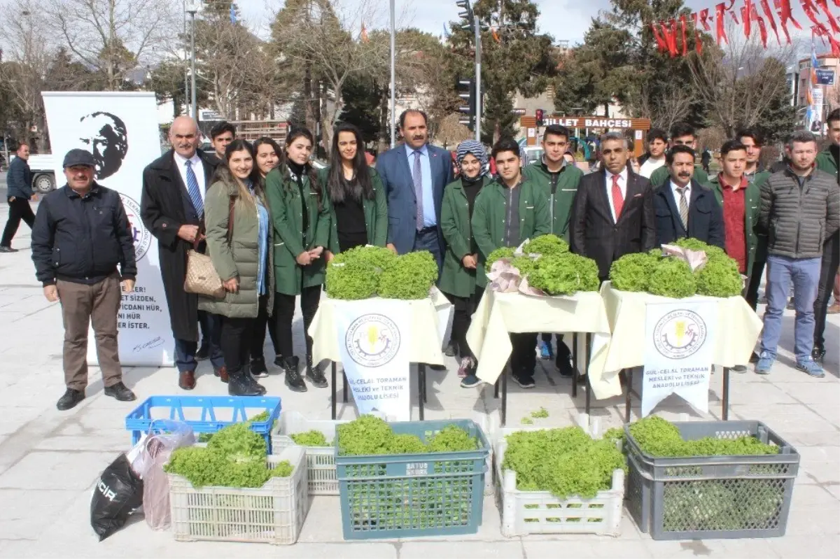 Erzincan\'da Vatandaşlara Ücretsiz Marul Dağıtıldı