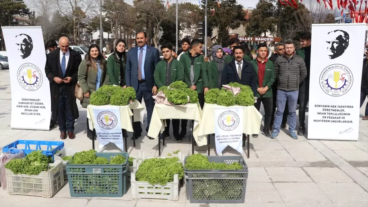 Kış Şartlarında Yetiştirdikleri Marulları Vatandaşlara Dağıttılar