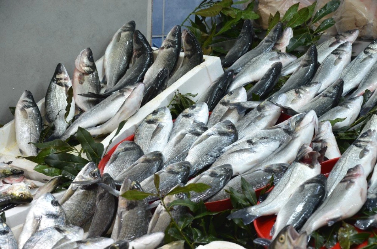 Ordu\'da Tezgahları Kültür Balıkları Süslüyor