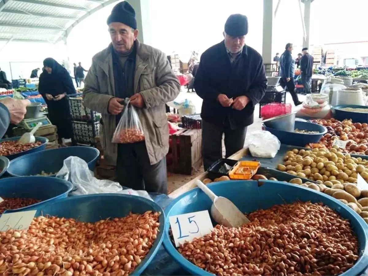 Tohumluk Soğan Fiyatlarının Yükselişi Durdurulamıyor