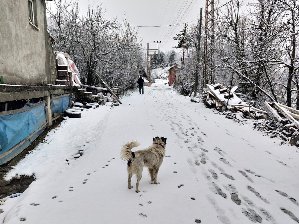 Zonguldak Aniden Bastıran Kar Etkili Oldu