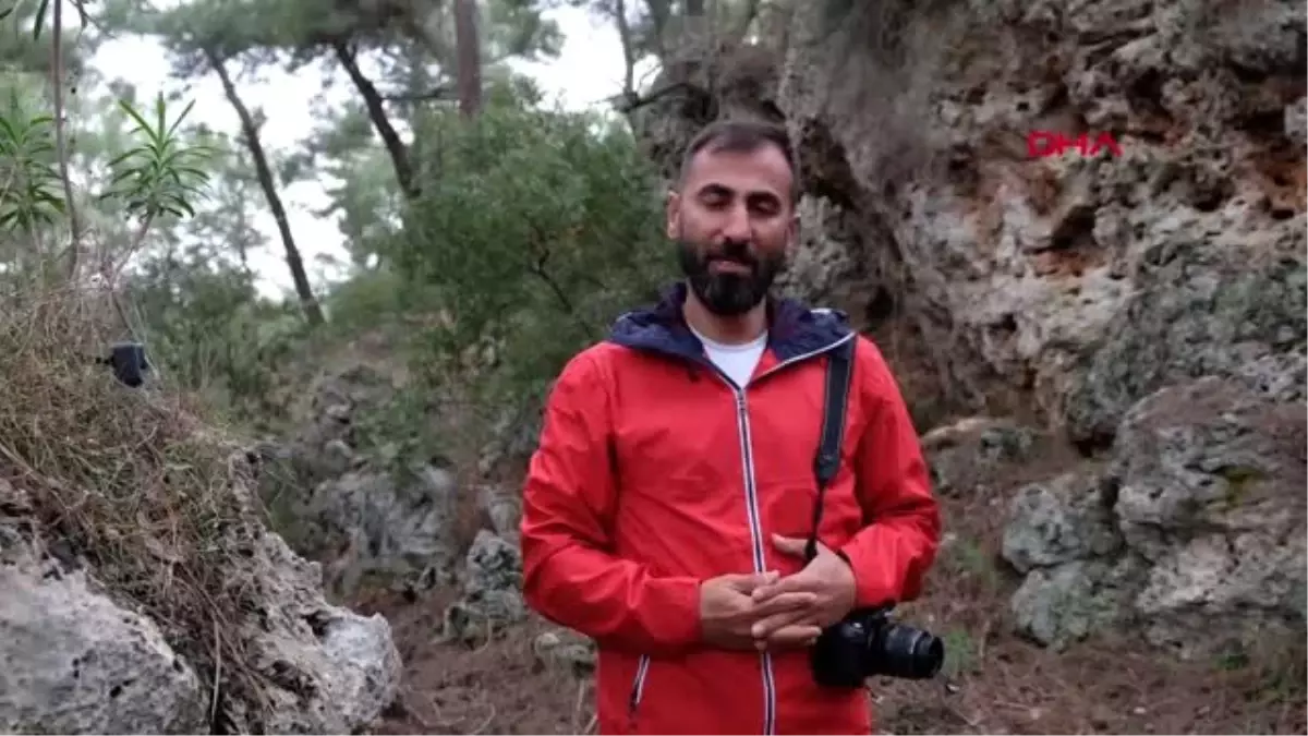 Antalya Aç Kalan Yılkı Atları Ölüyor