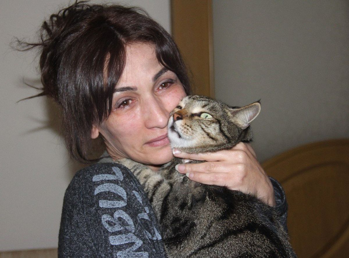 Efe" Kedi Patisiyle Sahibini Yanmaktan Kurtardı