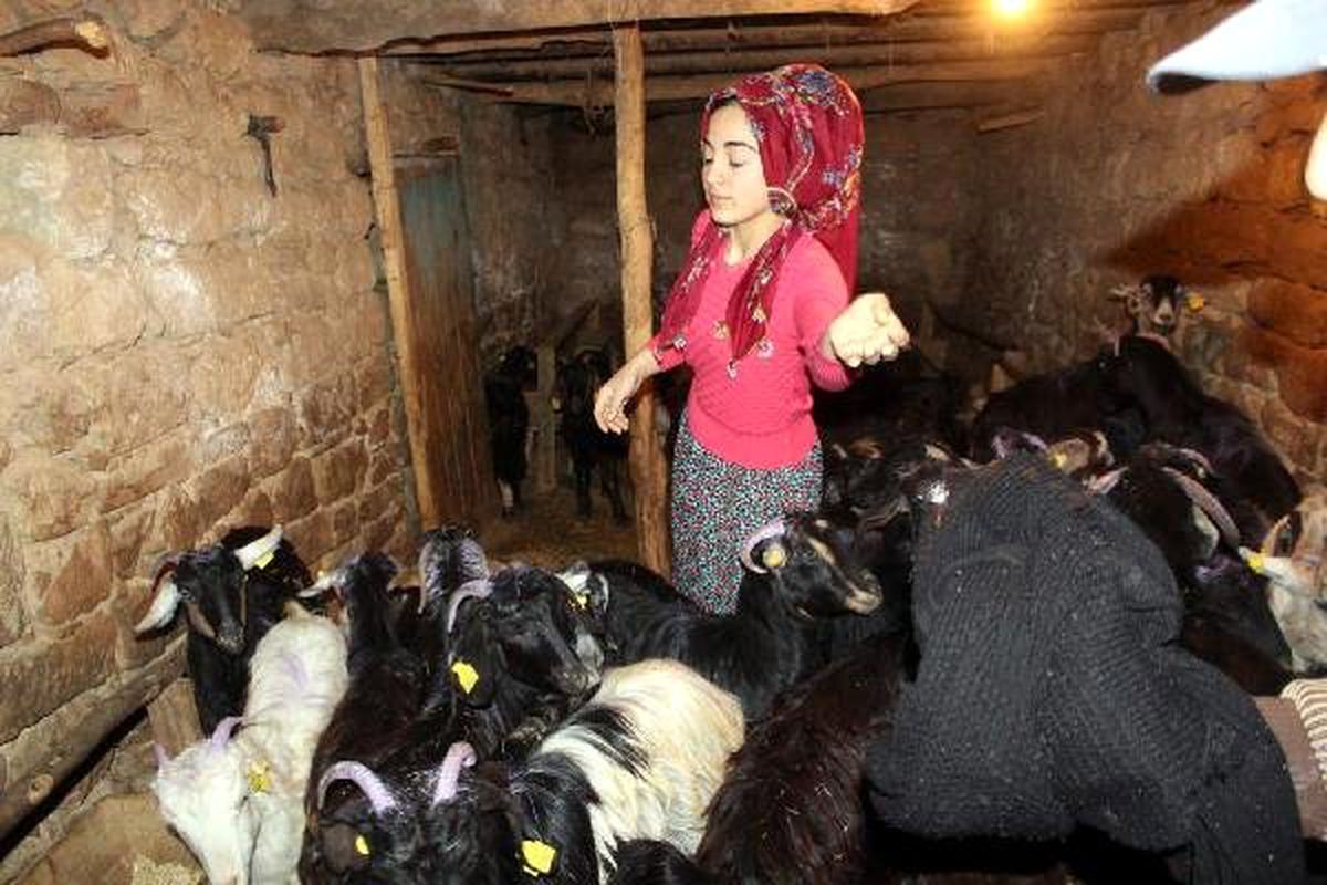 Genç Çiftçilik\' Projesiyle Merve\'nin Hayatı Değişti