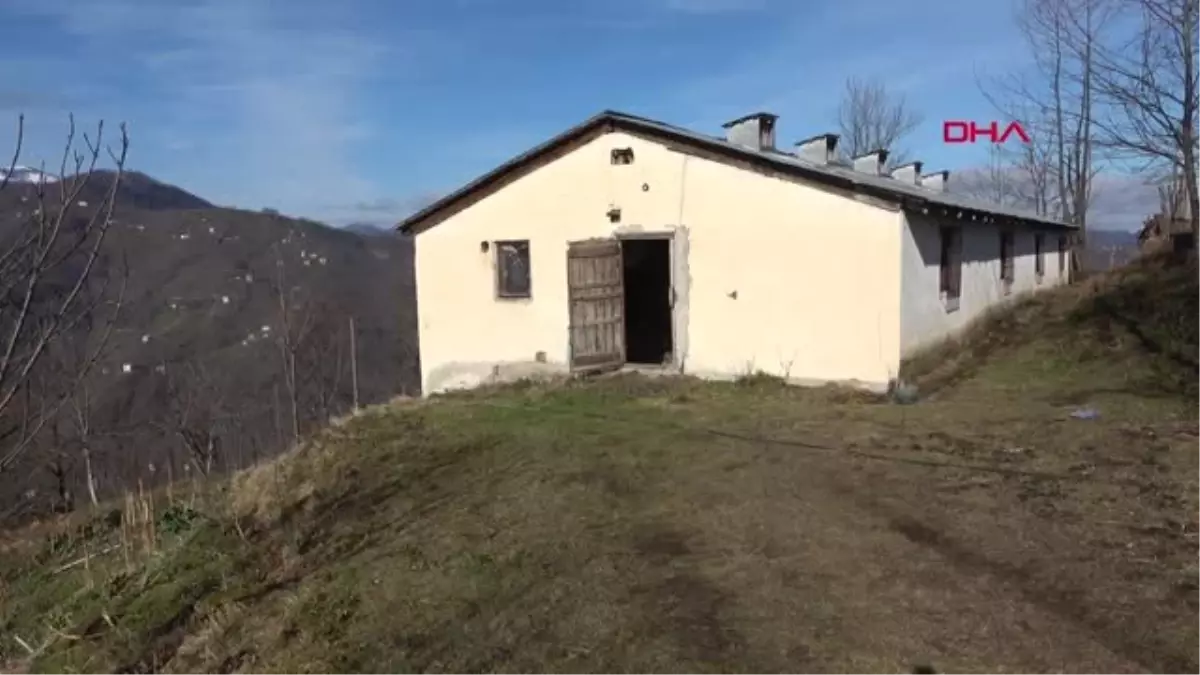 Giresun İsviçre Keçisinin Sütünden Yaptığı Kadayıf Tatlısı, Yok Satıyor
