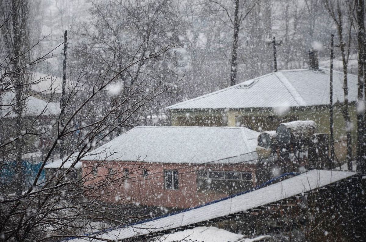 İlkbaharı Beklerken Kara Teslim Oldular