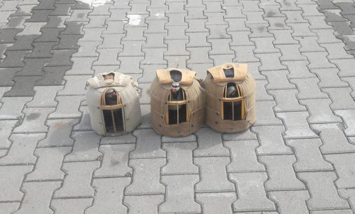 Jandarmanın Durdurduğu Araçta Keklikler Ele Geçirildi