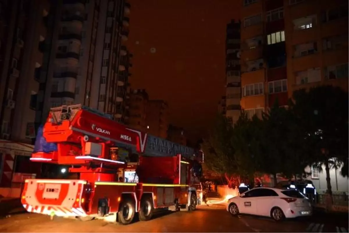 Kedi, Evde Çıkan Yangında Sahibini Kurtardı