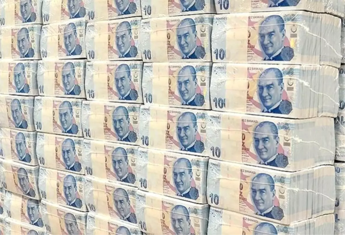 Merkez Bankası rezervleri 100 milyar dolara dayandı