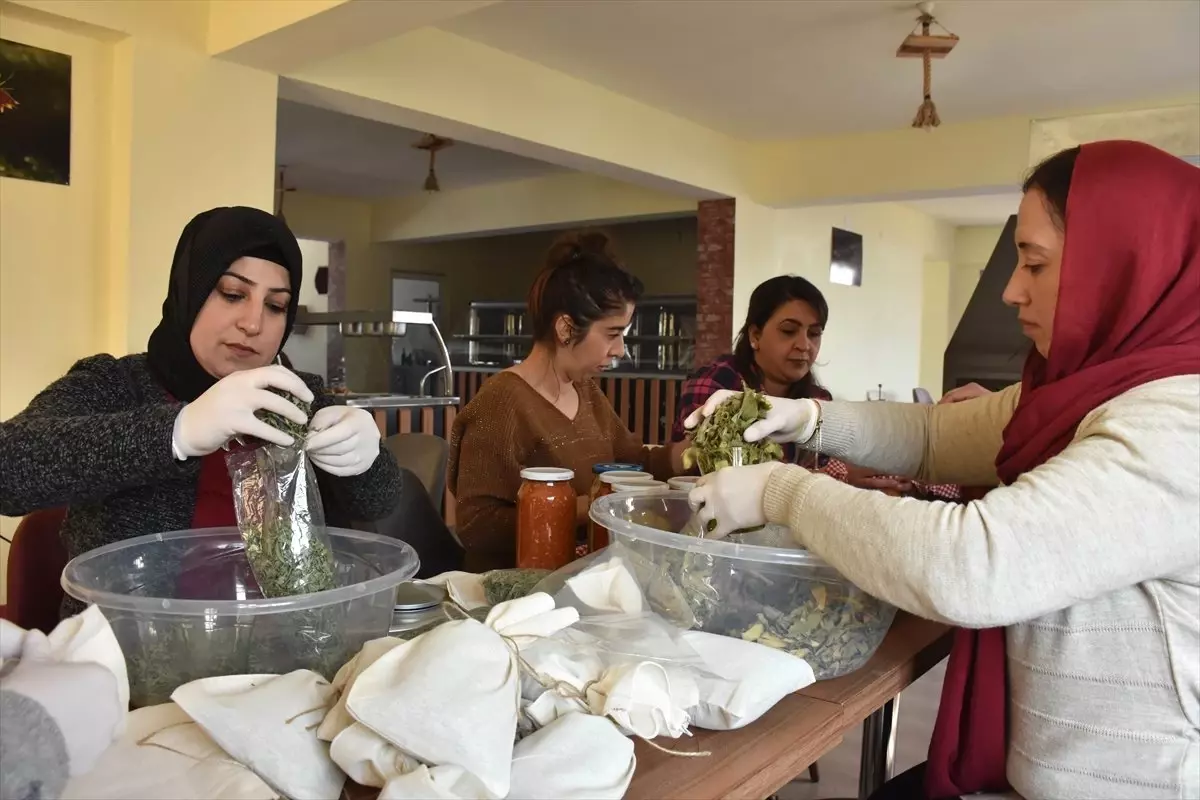 Organik Ürünler Kadın Eliyle Satışı Sunuluyor