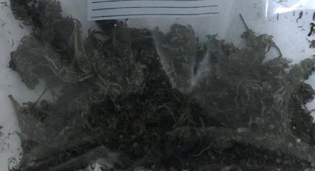 Amasya\'da Otomobildeki Esrara 3 Gözaltı