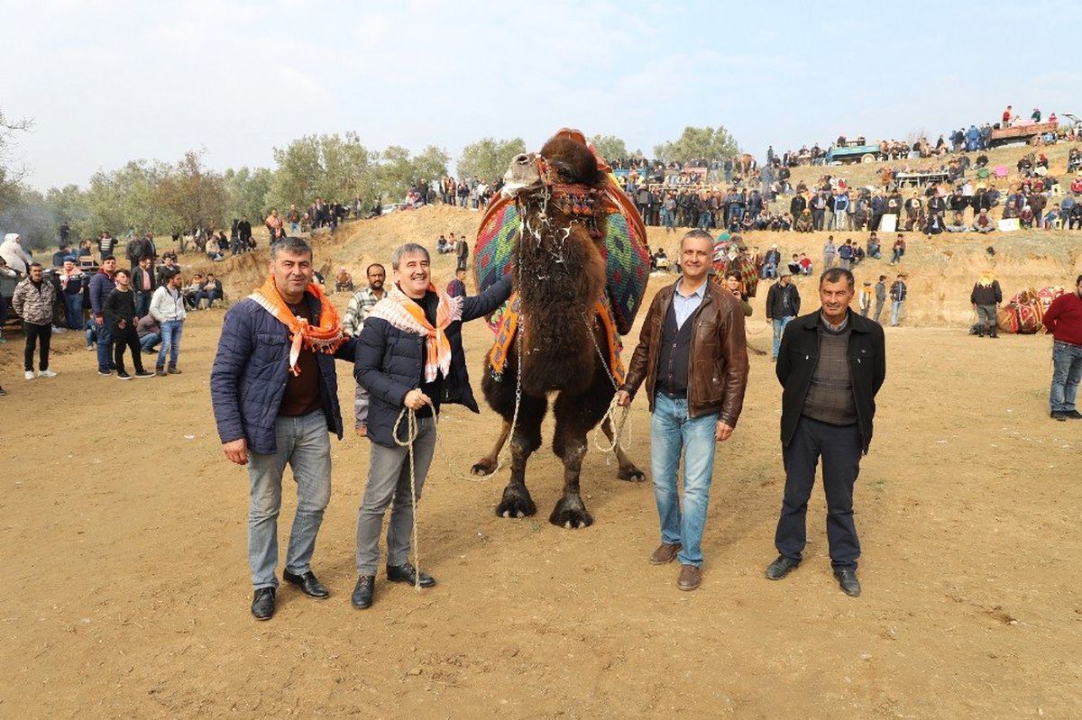 Başkan Şirin\'den Deve Güreşlerine Davet