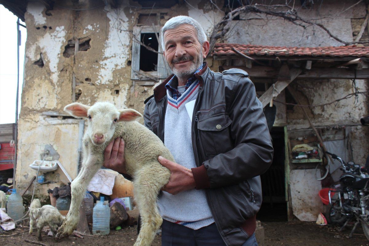 Cezaevinden Çıkıp Devlet Desteğiyle Sürü Sahibi Oldular