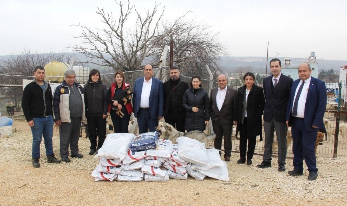 Gtb ve Cahide Derneğinden Sokak Hayvanları İçin Yardım Kampanyası