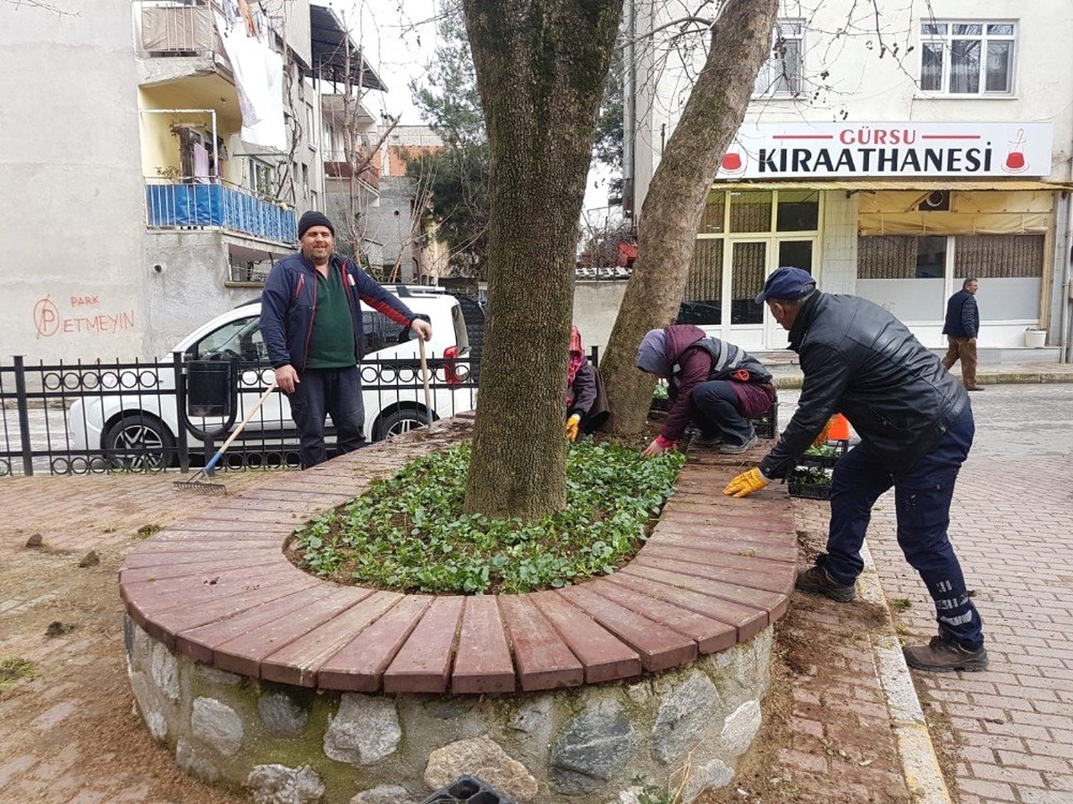 Gürsu\'nun Parkları ve Caddeleri Çiçek Açıyor