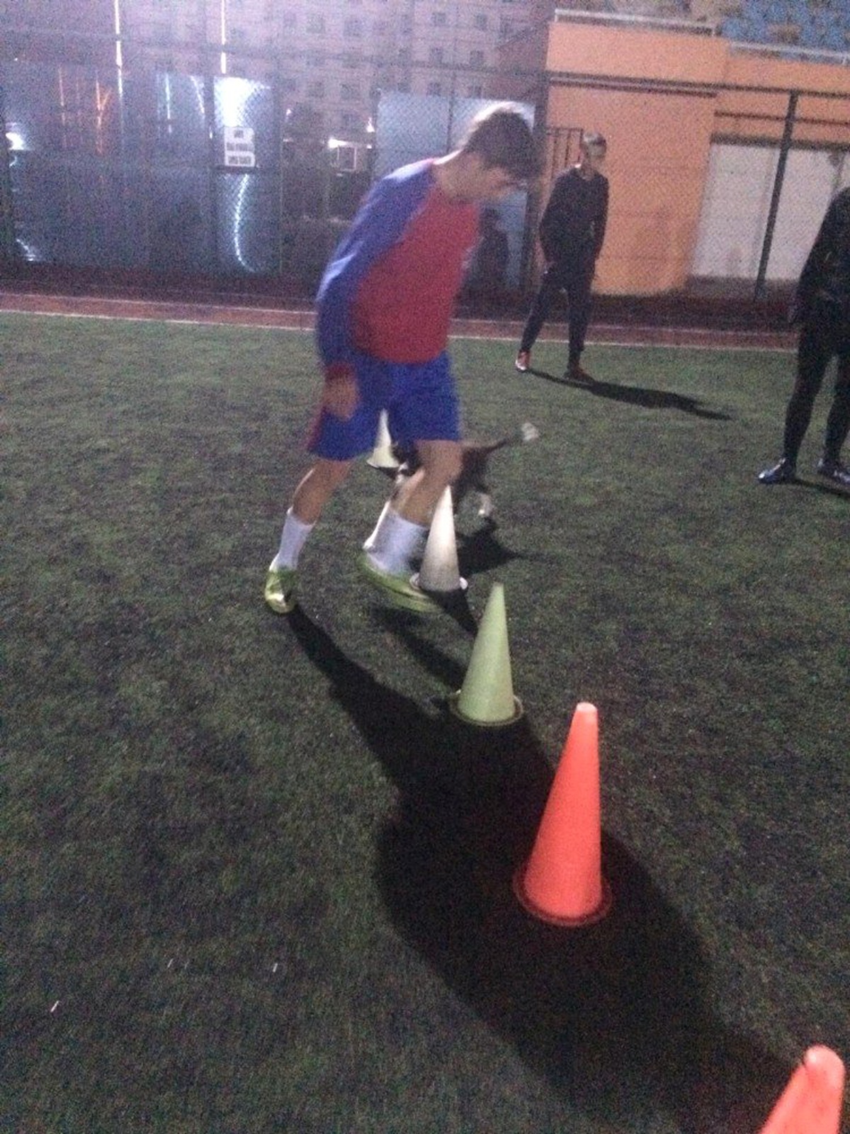 Isınması İçin İçeri Aldıkları Köpek Futbolcularla Antrenman Yaptı