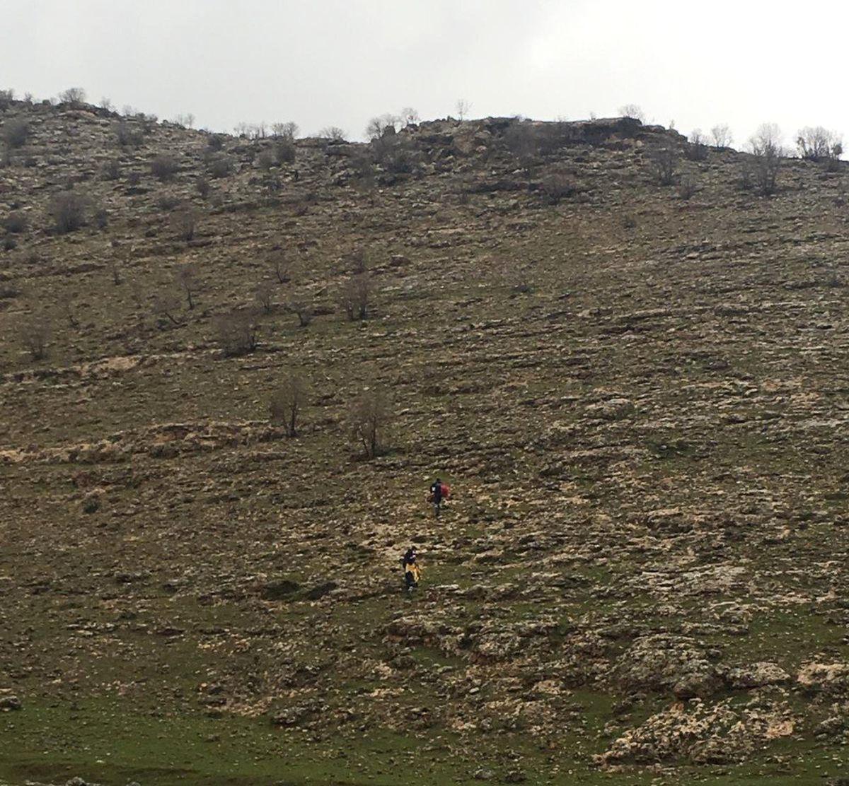 Kayalıklardan Düşen Genç Çoban Yaralandı