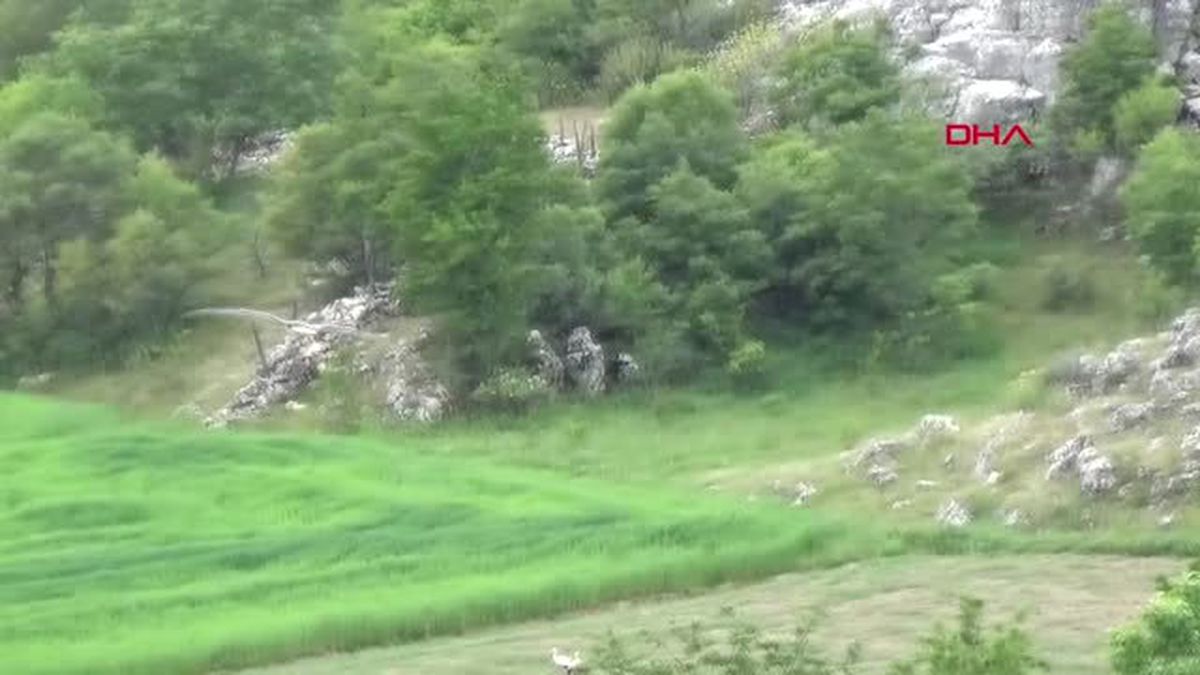 Konya Beyşehir\'de Leylekler, 24 Saat İzlenebilecek