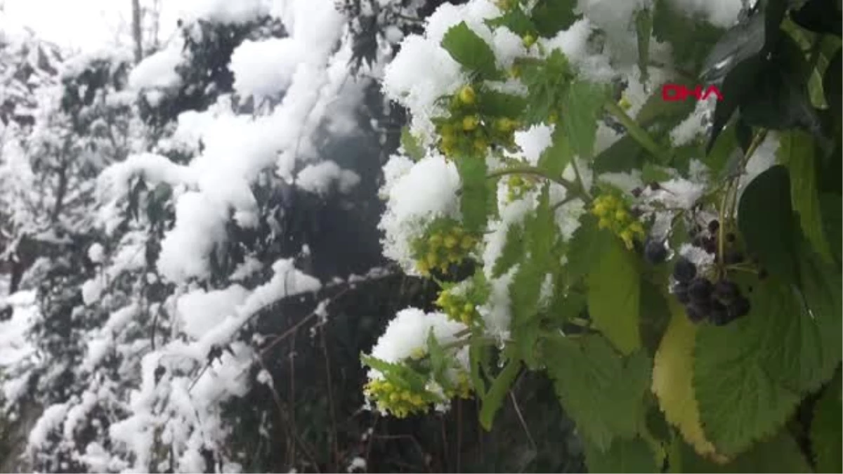 Rize\'de Yüksek Kesimlerde Kar Yağışı Etkili Oluyor
