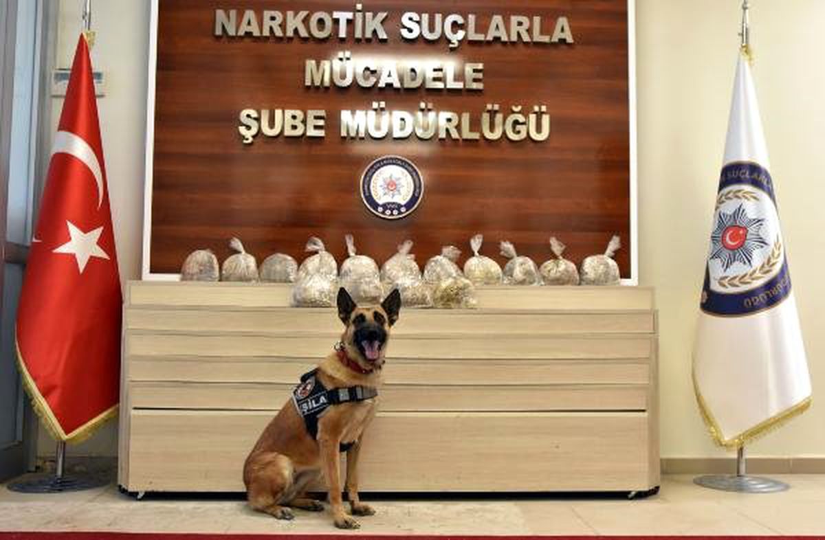 Van Merkezli Uyuşturucu Operasyonuna 7 Tutuklama