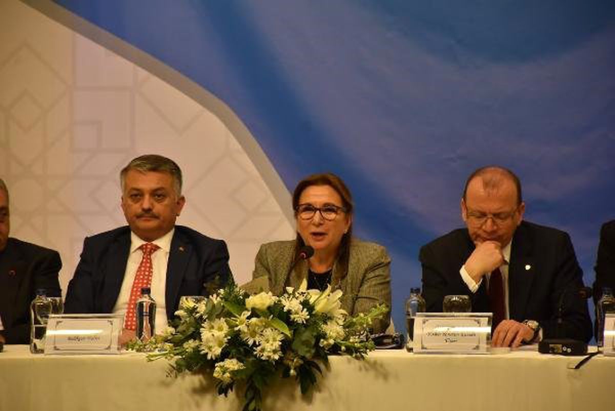 Bakan Pekcan: Hedefimiz; Yüksek Gelir Düzeyindeki Ülkeler Ligine Yükselmek (2)