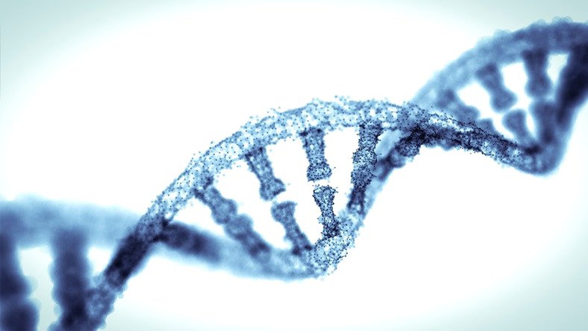 Bilim İnsanları, Tek Yumurta İkizlerini Ayırt Edebilecek Bir Dna Testi Geliştirdi