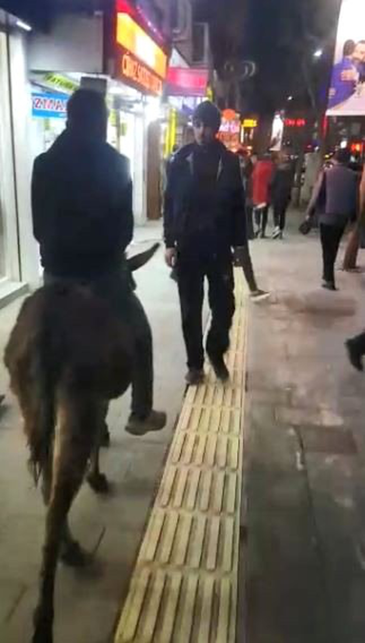 En İşlek Caddede Eşeğiyle Gezince Görenler Şaşkına Döndü