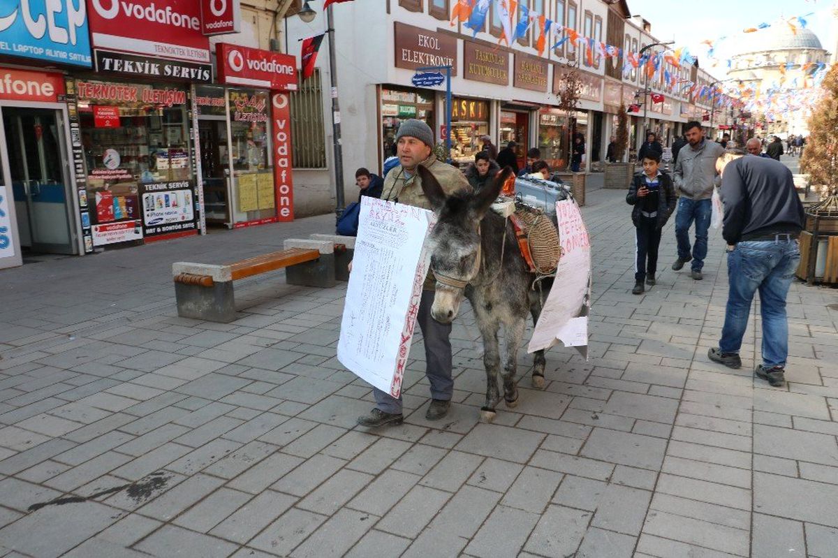 Eşeğe Akü ve Siren Takıp Eylem Yaptı