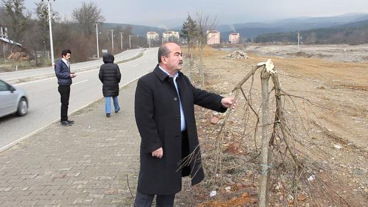 Mengen\'de Fidanların Kesilmesine Tepki