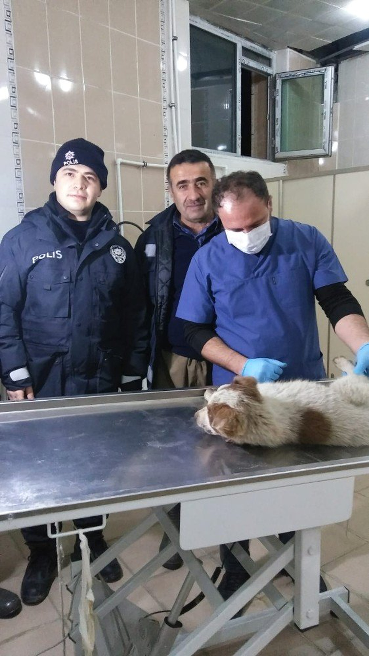 Polisin Yaralı Kurtardığı Köpek Tedavi Altına Alındı