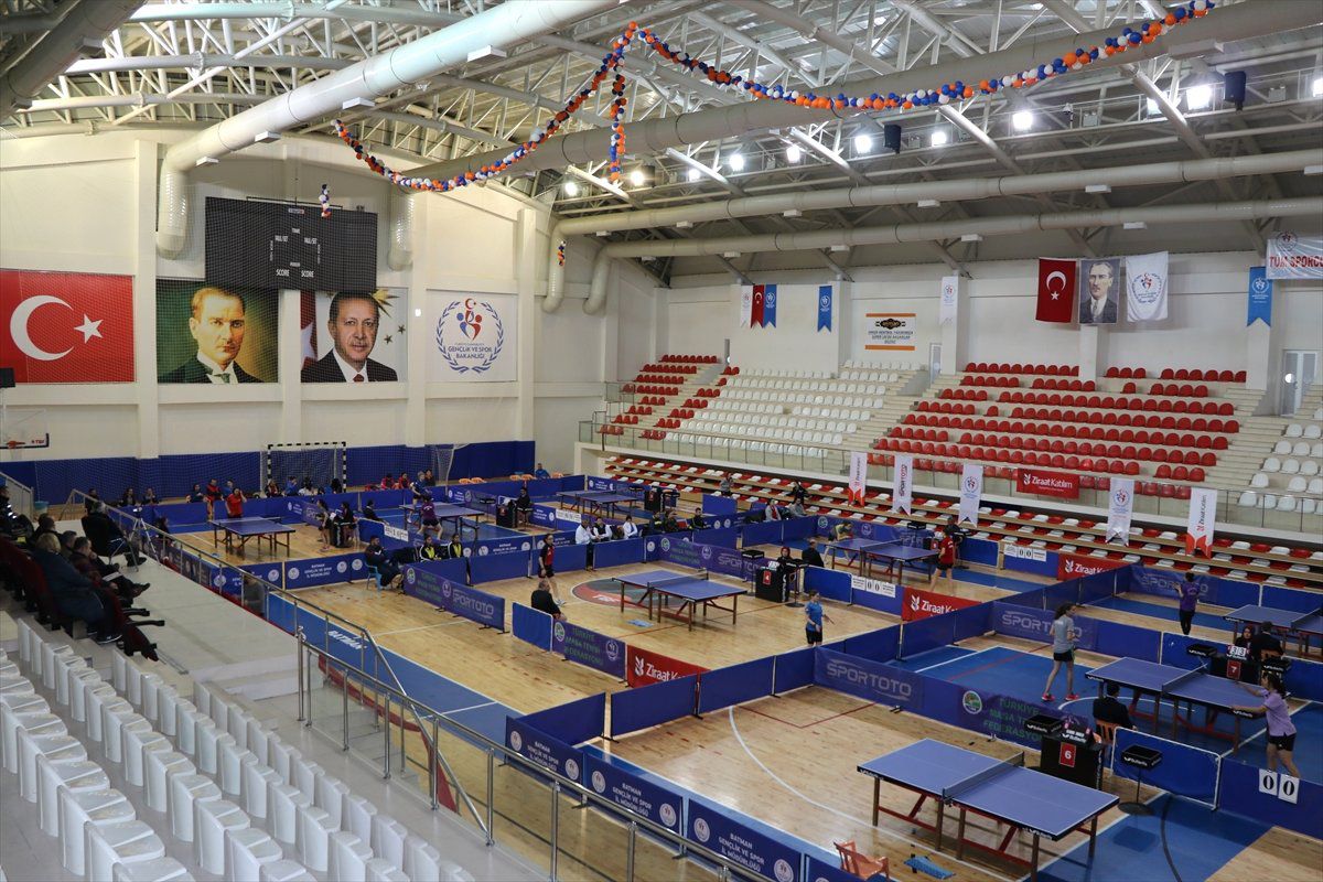 Türkiye Masa Tenisi Süper Ligi