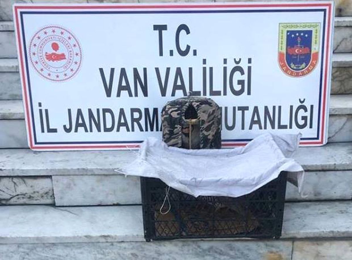 Van\'da Kafes Avcısına Ceza