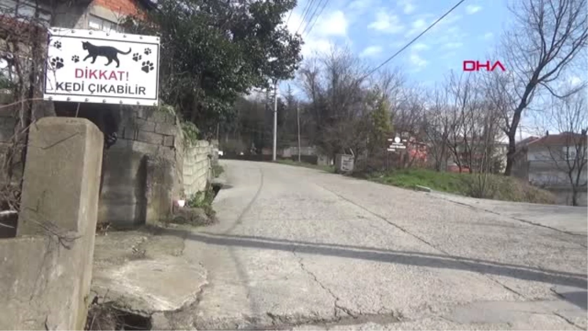 Zonguldak Kedileri İçin Yola Tabela Astı