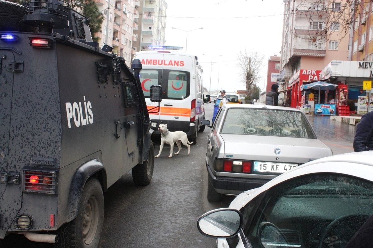 Diyarbakır\'da Gaz Kokusu Paniği