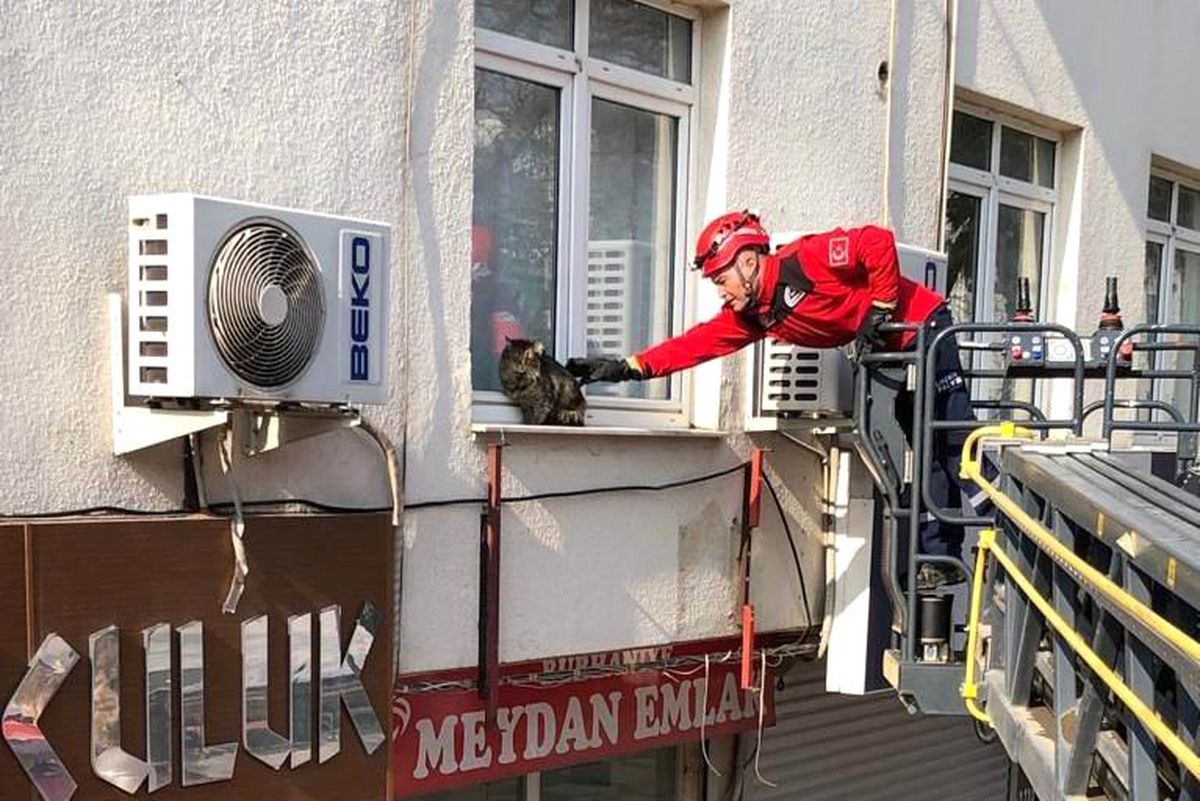 Pencereye Çıkan Kediyi, İtfaiye İndirdi