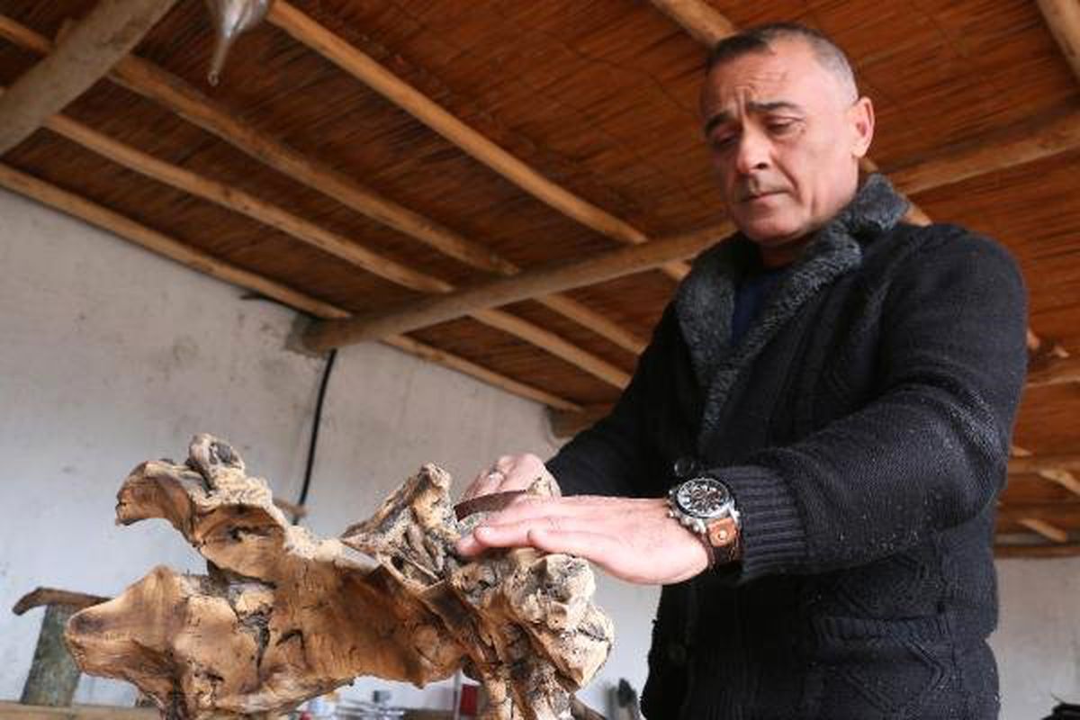 Ağaç Dalları Ek Gelir Kapısı Oldu