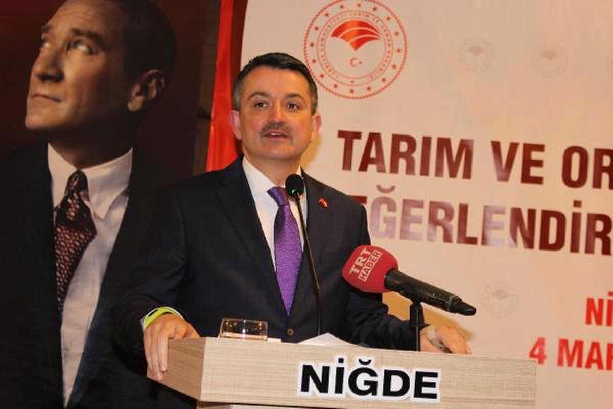 Bakan Pakdemirli: Taraftar Patateslerimiz de Piyasaya Çıkabilecek (2)