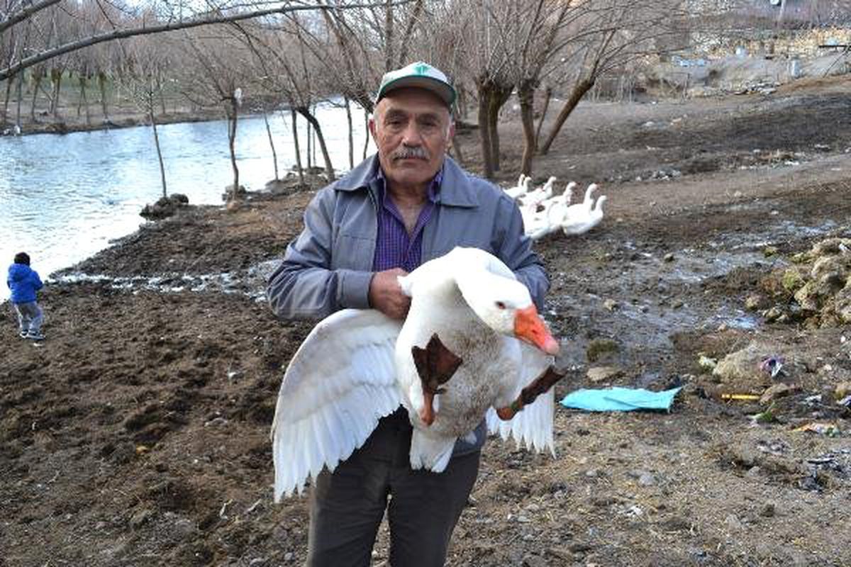 Hobisiydi, Gelir Kapısı Oldu