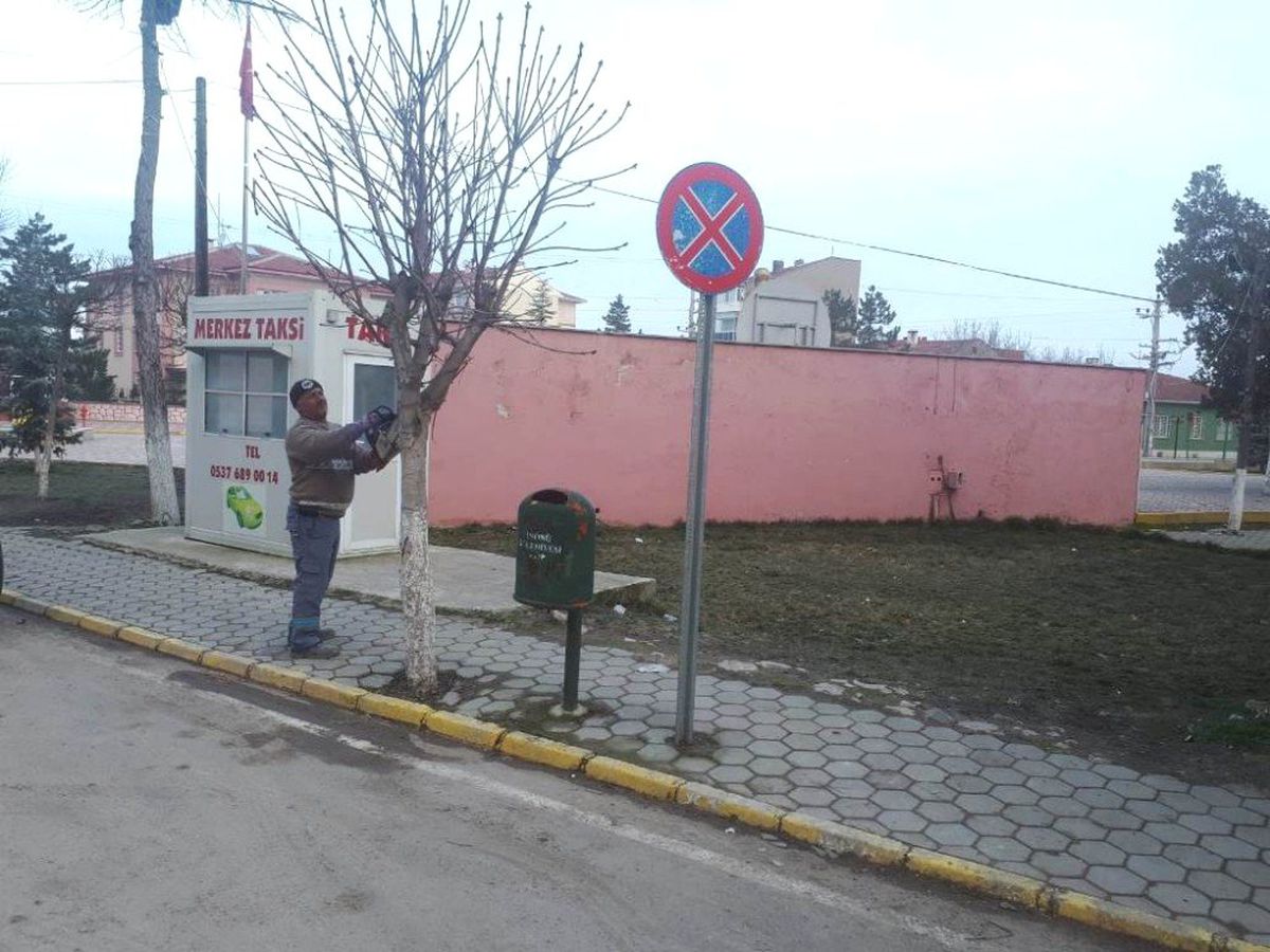 İnönü\'de Ağaçlar Budanmaya Başlandı