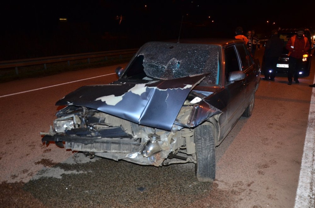 Kediyi Ezmemek İçin Direksiyonu Kırınca Kaza Yaptı